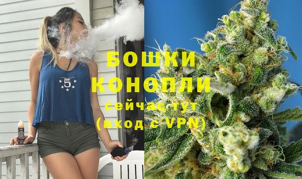 стафф Сосновка