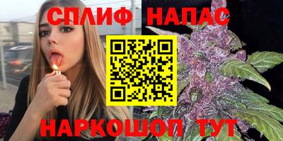 индика Балашиха
