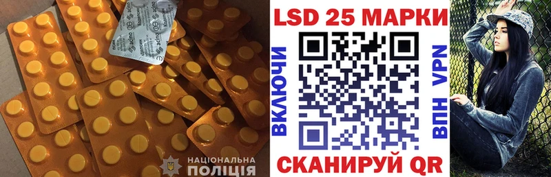 LSD-25 экстази кислота  omg как зайти  Дальнегорск 