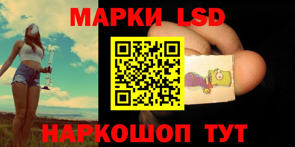Галлюциногенные грибы Дальнегорск