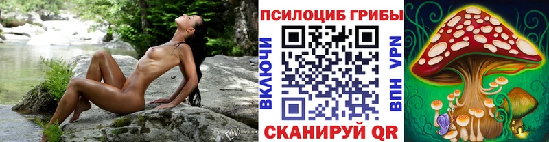 Галлюциногенные грибы Cubensis  hydra ССЫЛКА  Дальнегорск 