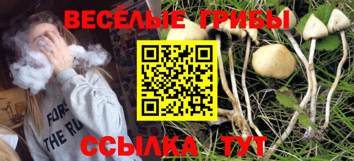 Дальнегорск  купить наркоту  Вход с VPN  Галлюциногенные грибы Magic Shrooms 